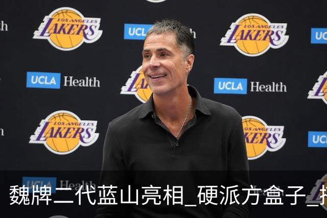 魏牌二代蓝山亮相 硬派方盒子 搭载2.0T插混动力